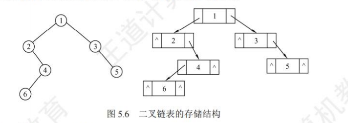 二叉链表链式存储