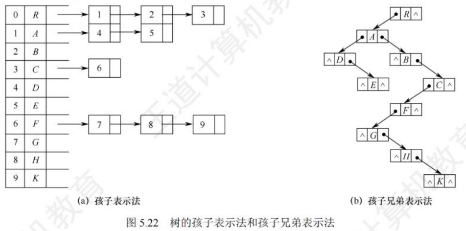 孩子表示法和孩子兄弟表示法