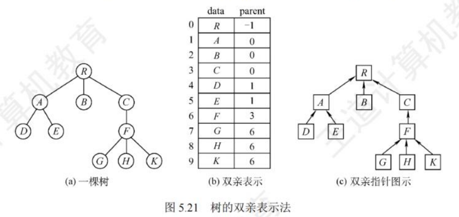 树的双亲表示法