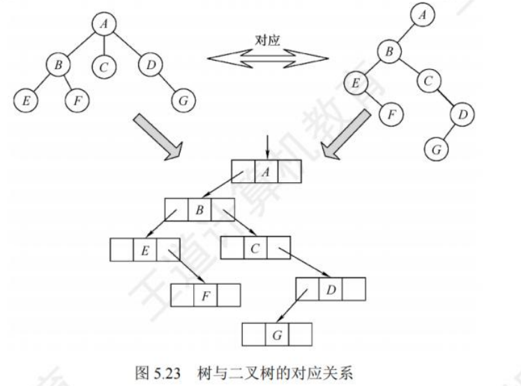 树转二叉树