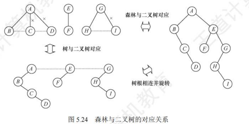 树与二叉树的对应关系